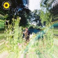 Buy Rex Orange County Sunflower (CDS) Mp3 Download